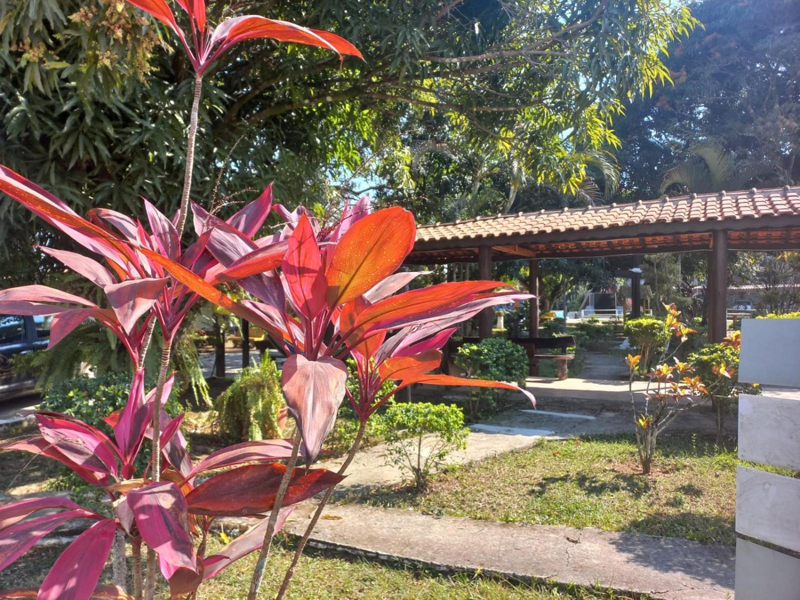 גוארטינגואטה Comunidade Anuncia-Me מראה חיצוני תמונה